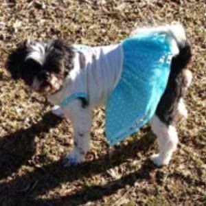 Meet your Posher, Susie